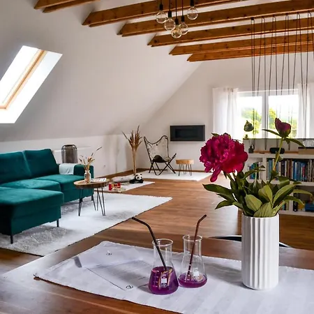 Loft Vpodhuri Krusnych Hor S Terasou A Virivkou *